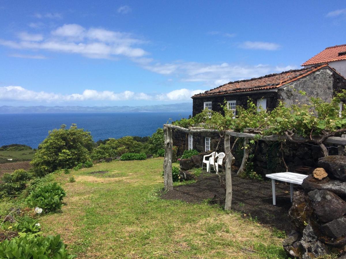 Casa Do Castanheiro Villa Santo Antonio  Eksteriør billede