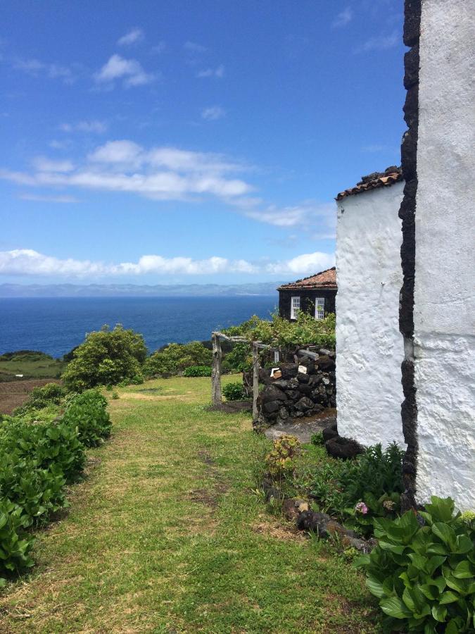 Casa Do Castanheiro Villa Santo Antonio  Eksteriør billede